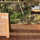 남대문 안경마을 이미지