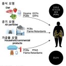 지축 한의원 린 다이어트 디톡스 후기