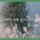 [Playlist] 계절이 느껴지는 순간, 폴 데스몬드의 보사노바 이미지