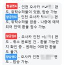 B.D ENG | 트립닷컴 피치항공 환불불가 항공권, 결국 환불받았습니다! (2편)