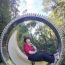 여행 다녀왔어요 이미지