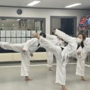 단국대 본태권도 이미지