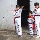 파란태권도 이미지