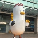 5번로 편의점 | 부산에서 서울까지 짱 편한 프리미엄 버스 이용 후기(feat. 4번 자리와 5번자리)