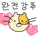 더숲키친
