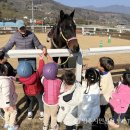 봉현초등학교 이미지