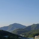 돌고래 오토 캠핑장 이미지