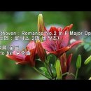 Romance No.2 (Beethoven) 이미지