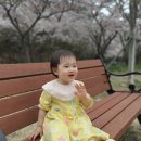 육일목장 | 육아일기 +18개월) 지났지만 기록하는 18개월 가정보육