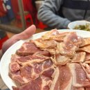 부산 감천 맛집 노포 감성 고기집을 찾는다면 마포통연탄구이 추천