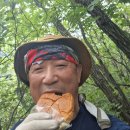 버섯산행 꽝 심산행으로 변경 이미지