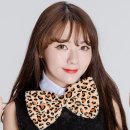 파티가 이미지