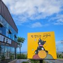 떡만드는고냉이 | [제주한림카페] 떡만드는 고냉이 - 오메기크로플과 커피가 맛있는 한림읍 조용한 분위기 카페추천