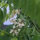 오포건강생활지원센터 | 오포건강생활지원센터 새로운 시작응원 걷기 첼린지 두번째 이야기