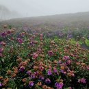 바람언덕 이미지