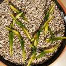 장자농장 이미지