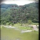 지이 이미지