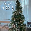 비로소 봄 이미지