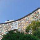 (주)호텔롯데 롯데리조트부여 | 롯데리조트 부여 1박 후기