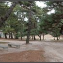 탈해왕릉 이미지