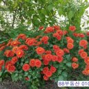 의사이야기부동산중개 이미지