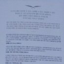 황금부엉이 이미지