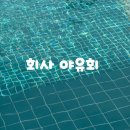 2025년 회사 야유회(feat. 대부도)