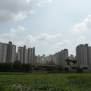 수완1제 이미지