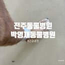 박영재 동물병원 이미지