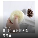스토리빙 등 바디브러쉬 샤워 목욕솔 사용후기 총정리 구매후기들 살펴보기