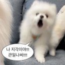 주식회사부동산중개법인오호이 | [미래에셋금융서비스 TAMS 11기] 8일차 수업! (1월 15일)