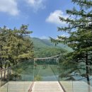 폴콘양주 이미지