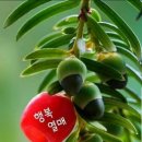 형창 이미지