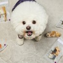 주식회사 동해형씨 이미지