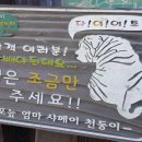 동광농장 이미지