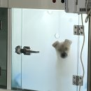 일광해빛동물병원 이미지