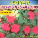 영미농산 네이버블로그