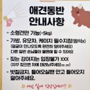 먹거리생삼겹살 이미지