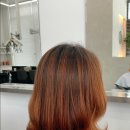 진헤어(Jin Hair) - 강북구 | 진헤어(Jin Hair)