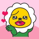 투썸플레이스 아산용화점 | 스트로베리 초콜릿생크림 케익 구매후기 : 아산 용화점 신용화동 투썸플레이스 카페