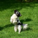 노래 부르는 영어 이미지