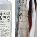 크린빛
