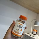 마곡 고양이 미용 호텔 이미지