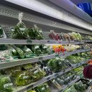 코렉스마트 이미지