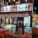 싱싱오징어나라