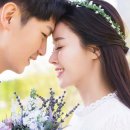 남북인연결혼 이미지