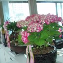 방학동노인복지센터 이미지