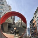 823 | [이집트 생존기 외전] - 에티하드항공 EY823 아부다비 레이오버 후기 ✈️