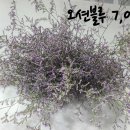 전혜숙농장 이미지