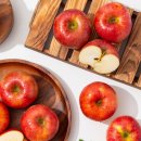 (주)더조은 이미지